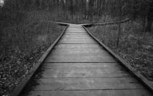 welcome-e17counselling
