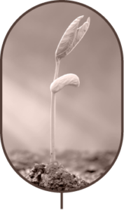 about