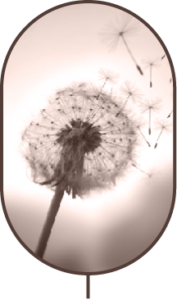 breathwork